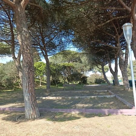Lara 3 - T2 Loggia Piscine 2 Lits Doubles Parking Pres Du Centre-Port Et Ile Loisirs Apartment Agde Exterior photo